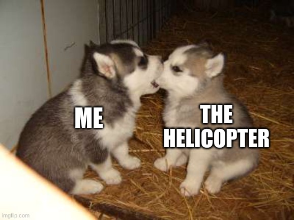 Cute Puppies Meme | ME THE HELICOPTER | image tagged in memes,cute puppies | made w/ Imgflip meme maker