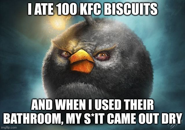 angry birds bomb | I ATE 100 KFC BISCUITS; AND WHEN I USED THEIR BATHROOM, MY S*IT CAME OUT DRY | image tagged in angry birds bomb | made w/ Imgflip meme maker