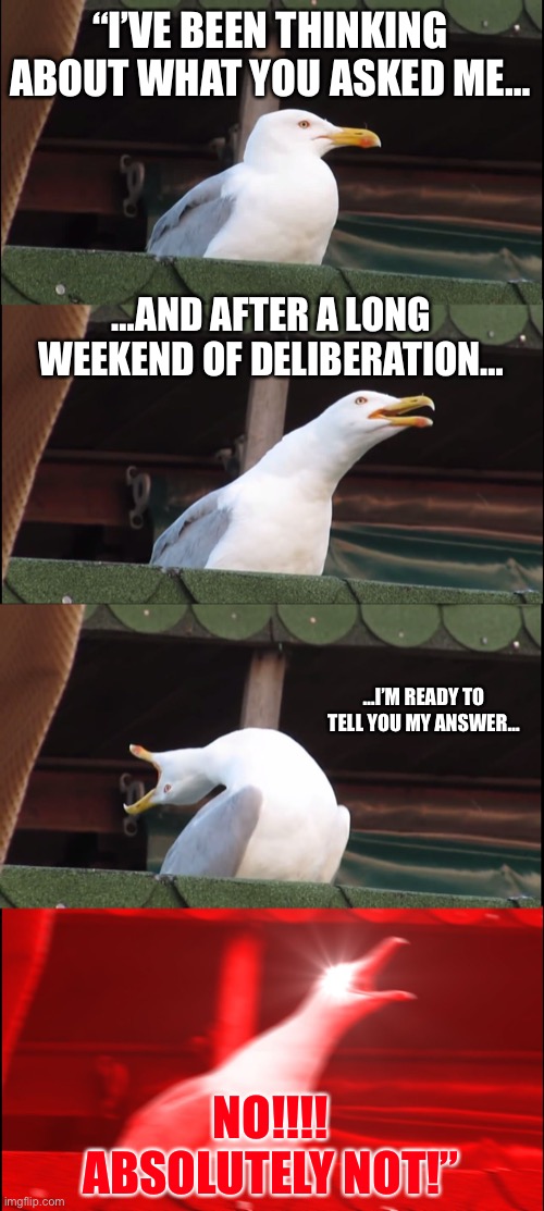 Inhaling Seagull | “I’VE BEEN THINKING ABOUT WHAT YOU ASKED ME…; …AND AFTER A LONG WEEKEND OF DELIBERATION…; …I’M READY TO TELL YOU MY ANSWER…; NO!!!!
ABSOLUTELY NOT!” | image tagged in memes,inhaling seagull | made w/ Imgflip meme maker