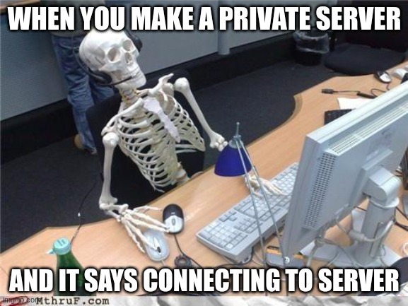 no one is in it why it taking forever | WHEN YOU MAKE A PRIVATE SERVER; AND IT SAYS CONNECTING TO SERVER | image tagged in waiting skeleton | made w/ Imgflip meme maker