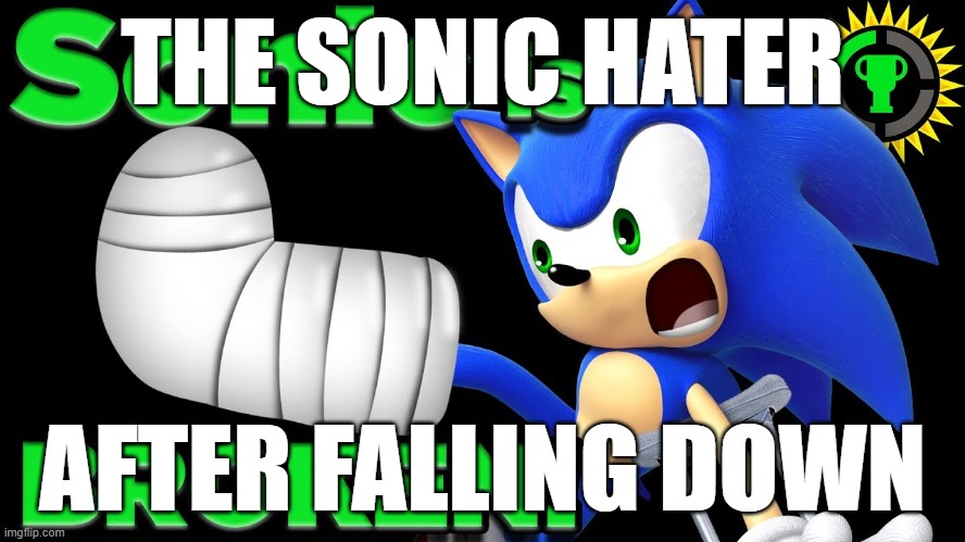 THE SONIC HATER AFTER FALLING DOWN | made w/ Imgflip meme maker