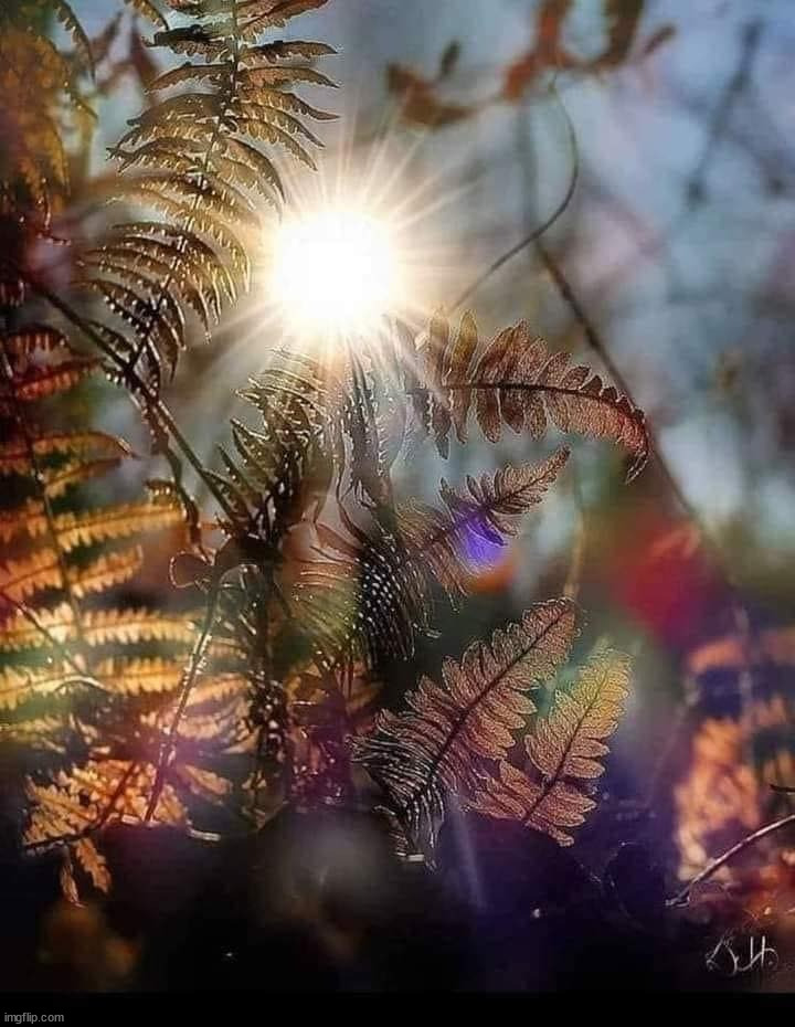 image tagged in awesome | made w/ Imgflip meme maker