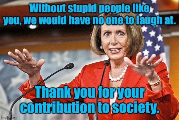 Crazy Nancy | Without stupid people like you, we would have no one to laugh at. Thank you for your contribution to society. | image tagged in nancy pelosi is crazy,without stupid like you,who would we laugh at,politics | made w/ Imgflip meme maker