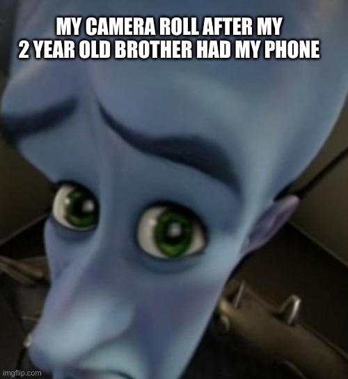 Megamind no bitches | MY CAMERA ROLL AFTER MY 2 YEAR OLD BROTHER HAD MY PHONE | image tagged in megamind no bitches | made w/ Imgflip meme maker