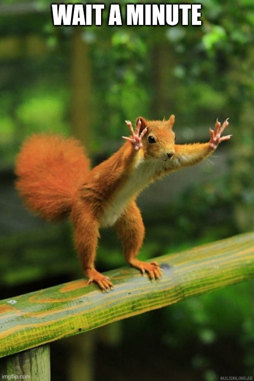 Wait a Minute Squirrel | WAIT A MINUTE | image tagged in wait a minute squirrel | made w/ Imgflip meme maker