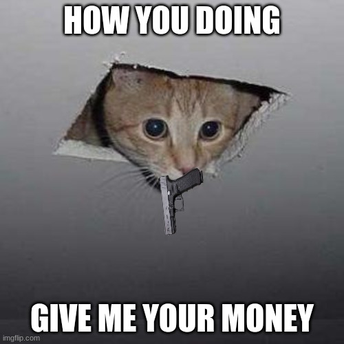 money | HOW YOU DOING; GIVE ME YOUR MONEY | image tagged in memes,ceiling cat | made w/ Imgflip meme maker