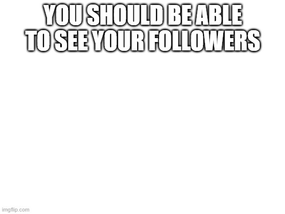 yes |  YOU SHOULD BE ABLE TO SEE YOUR FOLLOWERS | image tagged in blank white template,followers | made w/ Imgflip meme maker