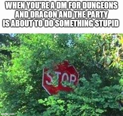 The power of a dm | WHEN YOU'RE A DM FOR DUNGEONS AND DRAGON AND THE PARTY IS ABOUT TO DO SOMETHING STUPID | image tagged in funny | made w/ Imgflip meme maker