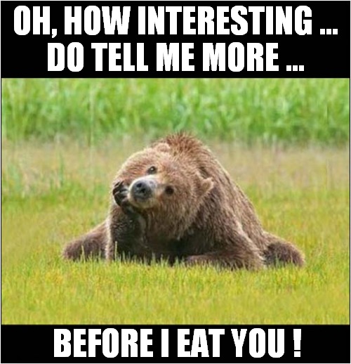 Pointlessly Pleading For Your Life ! | OH, HOW INTERESTING ...
DO TELL ME MORE ... BEFORE I EAT YOU ! | image tagged in bear,listening,dark humour | made w/ Imgflip meme maker