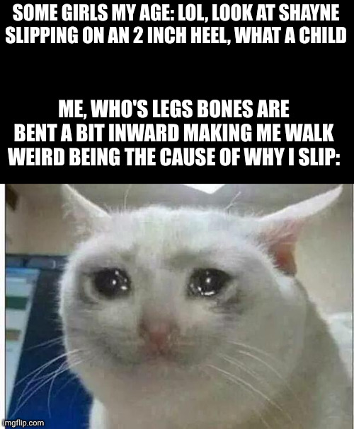 looks who's more insecure about how she fucking walks | SOME GIRLS MY AGE: LOL, LOOK AT SHAYNE SLIPPING ON AN 2 INCH HEEL, WHAT A CHILD; ME, WHO'S LEGS BONES ARE BENT A BIT INWARD MAKING ME WALK WEIRD BEING THE CAUSE OF WHY I SLIP: | image tagged in crying cat | made w/ Imgflip meme maker