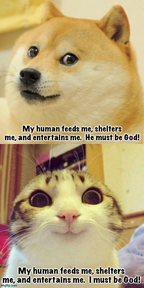 The difference between dogs and cats | My human feeds me, shelters me, and entertains me.  He must be God! My human feeds me, shelters me, and entertains me.  I must be God! | image tagged in memes,doge,smiling cat | made w/ Imgflip meme maker