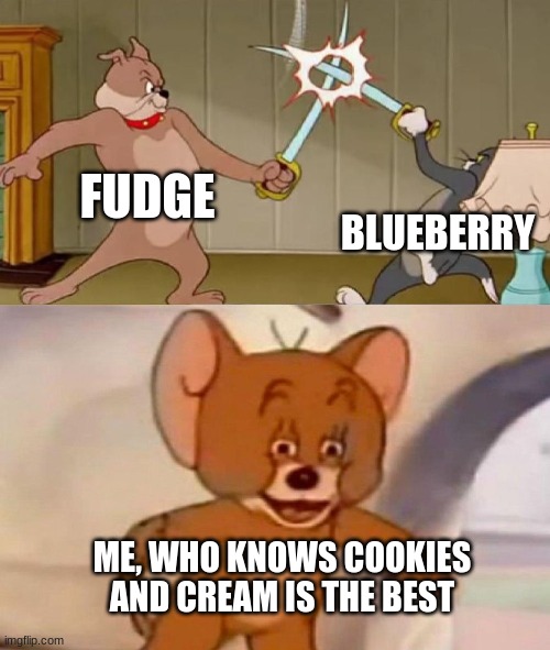 My personal opinion  on poptarts. | FUDGE; BLUEBERRY; ME, WHO KNOWS COOKIES AND CREAM IS THE BEST | image tagged in tom and jerry swordfight | made w/ Imgflip meme maker