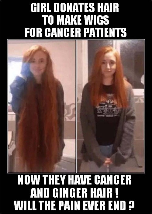 Suffering ! | GIRL DONATES HAIR 
TO MAKE WIGS FOR CANCER PATIENTS; NOW THEY HAVE CANCER AND GINGER HAIR !
WILL THE PAIN EVER END ? | image tagged in suffering,cancer,gingers,dark humour | made w/ Imgflip meme maker