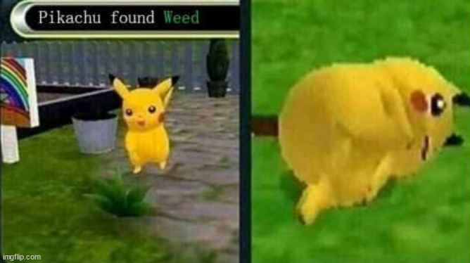 pikachu found weed | image tagged in pikachu found weed | made w/ Imgflip meme maker