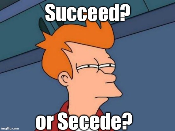Fry is not sure... | Succeed? or Secede? | image tagged in fry is not sure | made w/ Imgflip meme maker