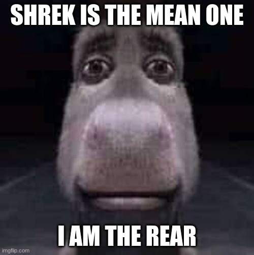 Donkey staring | SHREK IS THE MEAN ONE; I AM THE REAR | image tagged in donkey staring | made w/ Imgflip meme maker