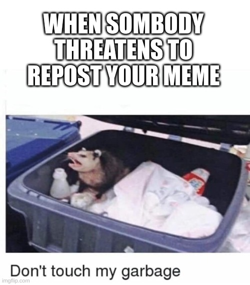 he just wants his memes | WHEN SOMBODY THREATENS TO REPOST YOUR MEME | image tagged in fun,not a duck,meme,lol | made w/ Imgflip meme maker