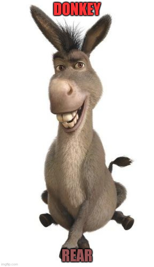 Donkey from Shrek | DONKEY; REAR | image tagged in donkey from shrek | made w/ Imgflip meme maker