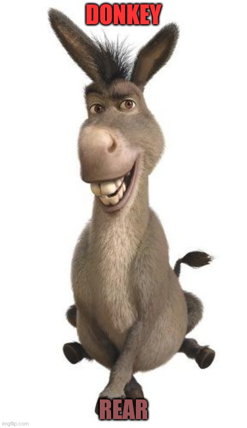 Donkey Shrek GIF - Donkey Shrek - Discover & Share GIFs