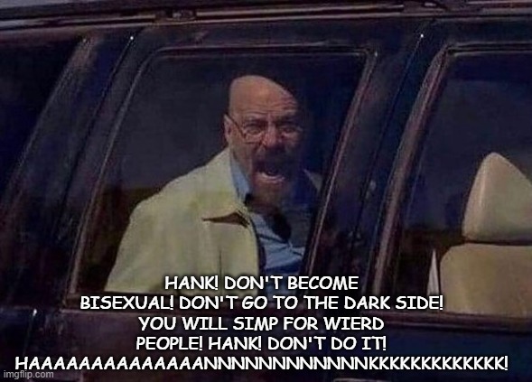 Walter White Screaming At Hank | HANK! DON'T BECOME BISEXUAL! DON'T GO TO THE DARK SIDE! YOU WILL SIMP FOR WIERD PEOPLE! HANK! DON'T DO IT! HAAAAAAAAAAAAAANNNNNNNNNNNNKKKKKKKKKKKKK! | image tagged in walter white screaming at hank | made w/ Imgflip meme maker