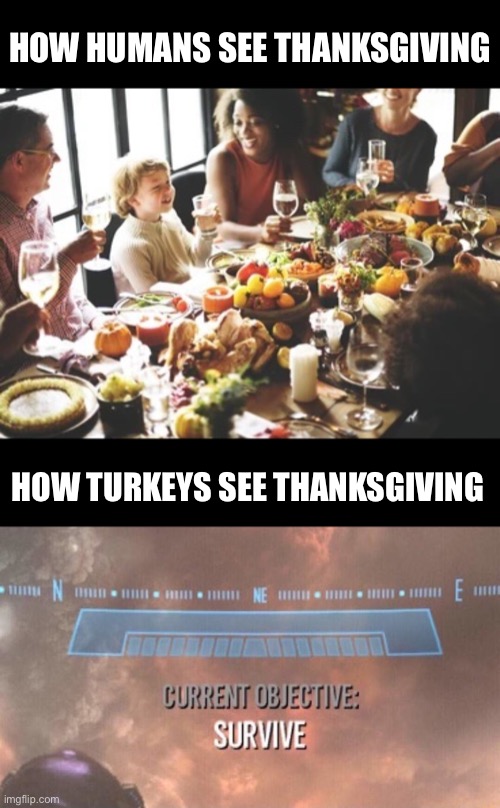 Thanksgiving is almost here | HOW HUMANS SEE THANKSGIVING; HOW TURKEYS SEE THANKSGIVING | image tagged in current objective survive,thanksgiving,thanksgiving dinner,memes,funny | made w/ Imgflip meme maker