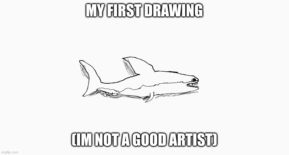MY FIRST DRAWING; (IM NOT A GOOD ARTIST) | made w/ Imgflip meme maker