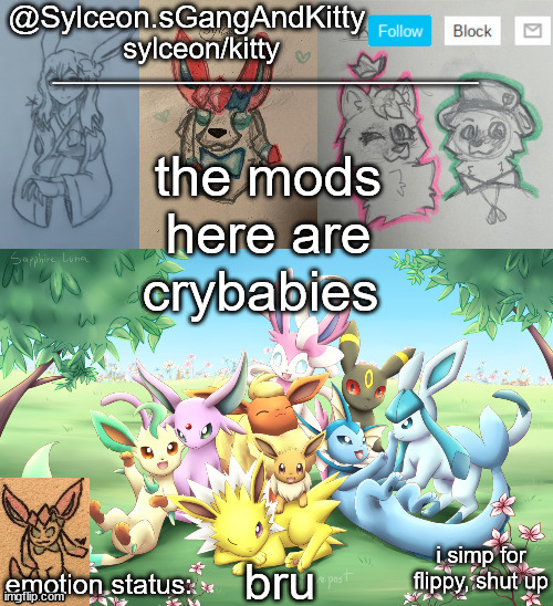Sylceon.sGangAndKitty 2 | the mods here are crybabies; bru | image tagged in sylceon sgangandkitty | made w/ Imgflip meme maker