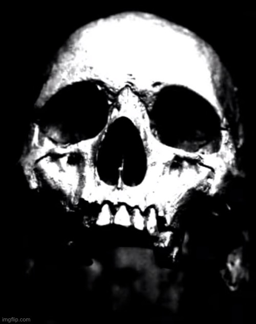 Skull | image tagged in phase 23 | made w/ Imgflip meme maker