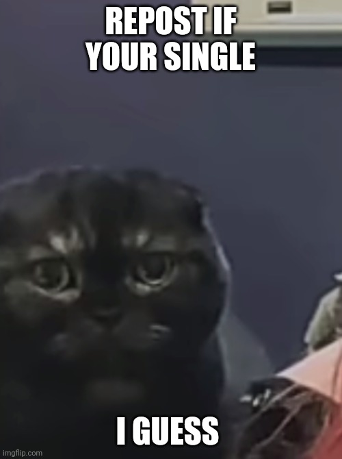 I guess | REPOST IF YOUR SINGLE; I GUESS | made w/ Imgflip meme maker