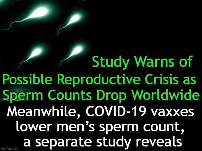 Pfizer DID NOT test its COVID-19 Vax for possible effects on male fertility | Study Warns of; Sperm Counts Drop Worldwide; Possible Reproductive Crisis as; Meanwhile, COVID-19 vaxxes 
lower men’s sperm count, 
a separate study reveals | image tagged in politics,the more you know,sperm,the count,pfizer,male fertility | made w/ Imgflip meme maker