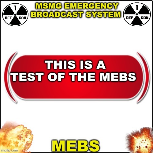 Just testing | THIS IS A TEST OF THE MEBS | image tagged in mebs | made w/ Imgflip meme maker