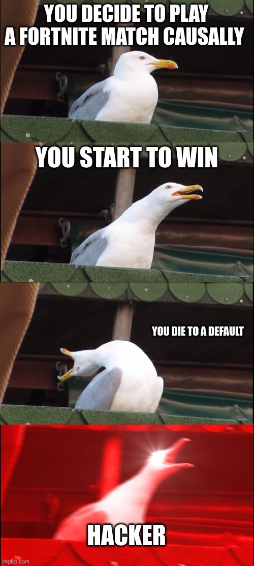 Inhaling Seagull | YOU DECIDE TO PLAY A FORTNITE MATCH CAUSALLY; YOU START TO WIN; YOU DIE TO A DEFAULT; HACKER | image tagged in memes,inhaling seagull | made w/ Imgflip meme maker
