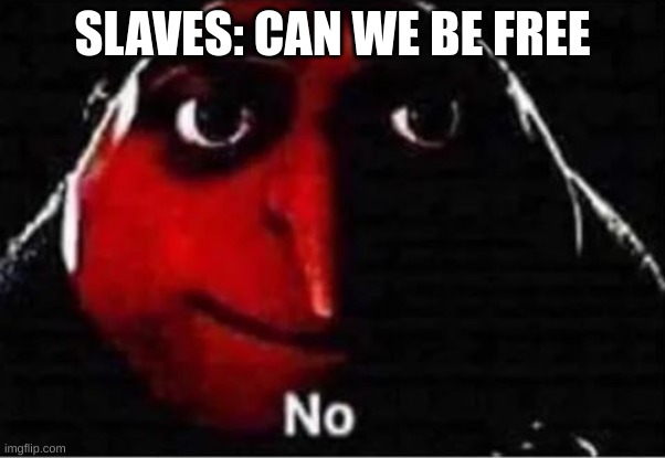 Gru No | SLAVES: CAN WE BE FREE | image tagged in gru no | made w/ Imgflip meme maker