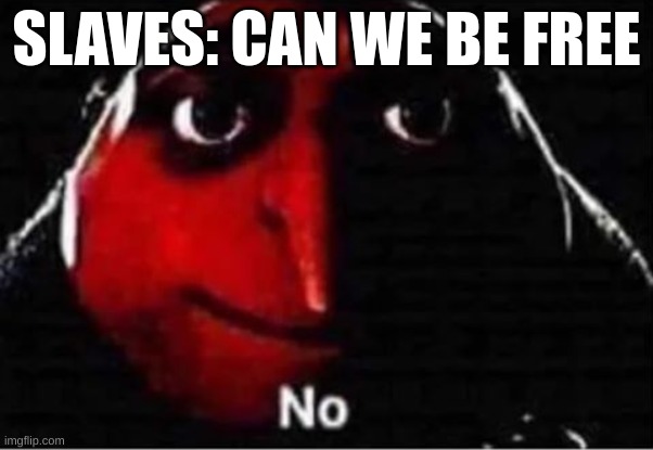 Gru No | SLAVES: CAN WE BE FREE | image tagged in gru no | made w/ Imgflip meme maker