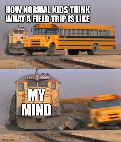 A train hitting a school bus | HOW NORMAL KIDS THINK WHAT A FIELD TRIP IS LIKE; MY MIND | image tagged in a train hitting a school bus | made w/ Imgflip meme maker