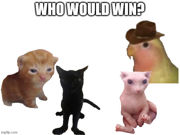 WHO WOULD WIN? | made w/ Imgflip meme maker