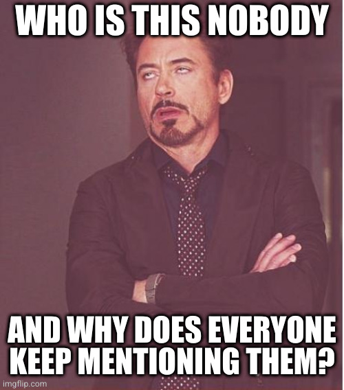 Face You Make Robert Downey Jr Meme | WHO IS THIS NOBODY; AND WHY DOES EVERYONE KEEP MENTIONING THEM? | image tagged in memes,face you make robert downey jr | made w/ Imgflip meme maker
