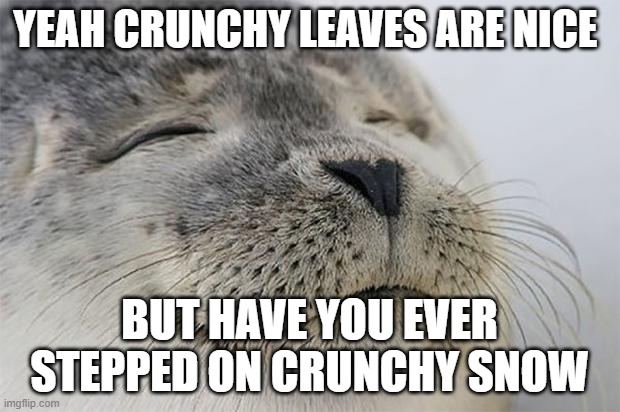 cronch | YEAH CRUNCHY LEAVES ARE NICE; BUT HAVE YOU EVER STEPPED ON CRUNCHY SNOW | image tagged in memes,satisfied seal | made w/ Imgflip meme maker