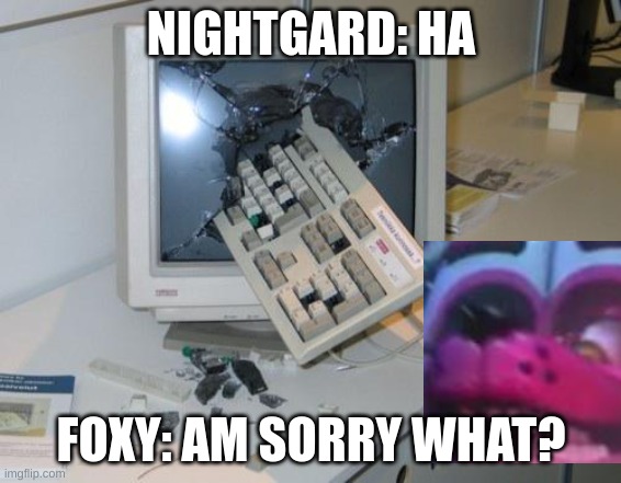 WHEN I PLAY FNAF THE FAN'S | NIGHTGARD: HA; FOXY: AM SORRY WHAT? | image tagged in fnaf rage | made w/ Imgflip meme maker