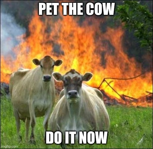 Evil Cows | PET THE COW; DO IT NOW | image tagged in memes,evil cows | made w/ Imgflip meme maker