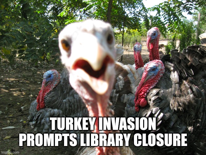 Library Closed for Thanksgiving | TURKEY INVASION PROMPTS LIBRARY CLOSURE | image tagged in turkeys | made w/ Imgflip meme maker