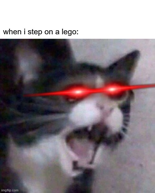 stepping on a lego HURTS like shit | when i step on a lego: | image tagged in screaming cat meme,memes,funny,cats,stepping on a lego | made w/ Imgflip meme maker