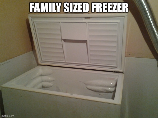 freezer | FAMILY SIZED FREEZER | image tagged in freezer | made w/ Imgflip meme maker