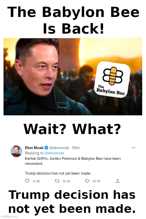 The Babylon Bee Is Back! | image tagged in babylon bee,twitter,elon musk,trump | made w/ Imgflip meme maker