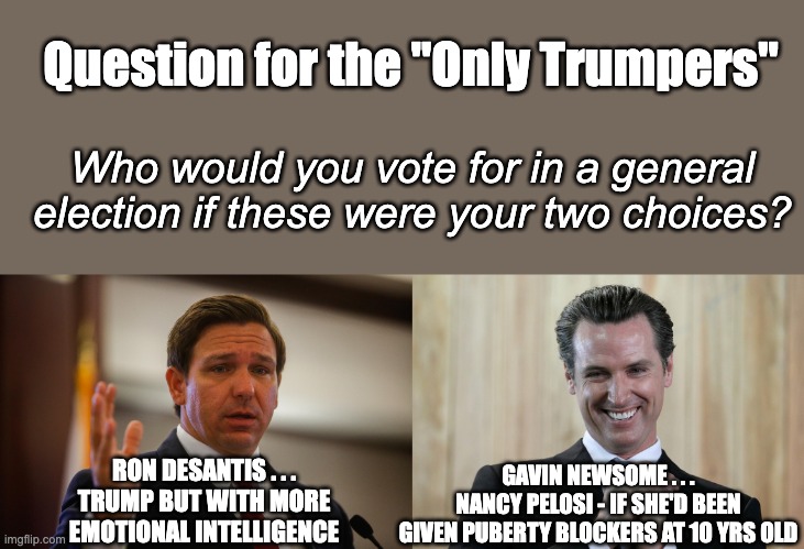 I wonder who Trump voted for in the Florida governor's race ... hmmm | Question for the "Only Trumpers"; Who would you vote for in a general election if these were your two choices? GAVIN NEWSOME . . .
NANCY PELOSI - IF SHE'D BEEN
GIVEN PUBERTY BLOCKERS AT 10 YRS OLD; RON DESANTIS . . .
TRUMP BUT WITH MORE
EMOTIONAL INTELLIGENCE | image tagged in scheming gavin newsom,desantis | made w/ Imgflip meme maker
