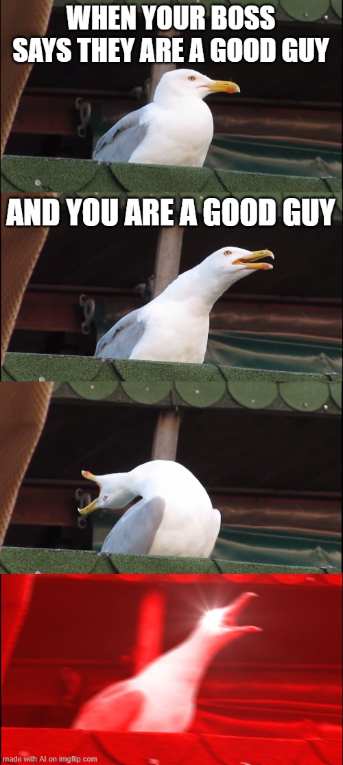Well, at least me and my boss have something in common | WHEN YOUR BOSS SAYS THEY ARE A GOOD GUY; AND YOU ARE A GOOD GUY | image tagged in memes,inhaling seagull,boss | made w/ Imgflip meme maker