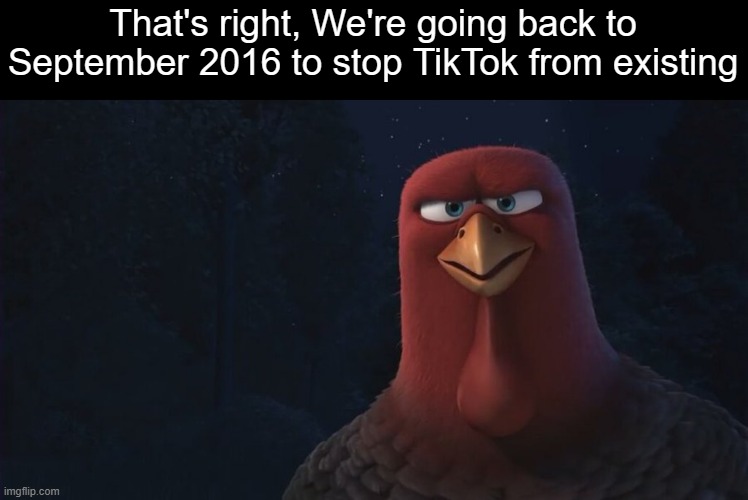 TikTok NEEDS to be shut down | That's right, We're going back to September 2016 to stop TikTok from existing | image tagged in we're going back in time to,tiktok sucks,dank memes,memes,imgflip good tiktok bad,funny memes | made w/ Imgflip meme maker