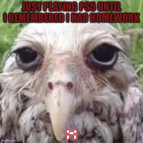 Just stop;-; | JUST PLAYING PS5 UNTIL I REMEMBERED I HAD HOMEWORK; ;-; | image tagged in gifs,funny memes | made w/ Imgflip meme maker