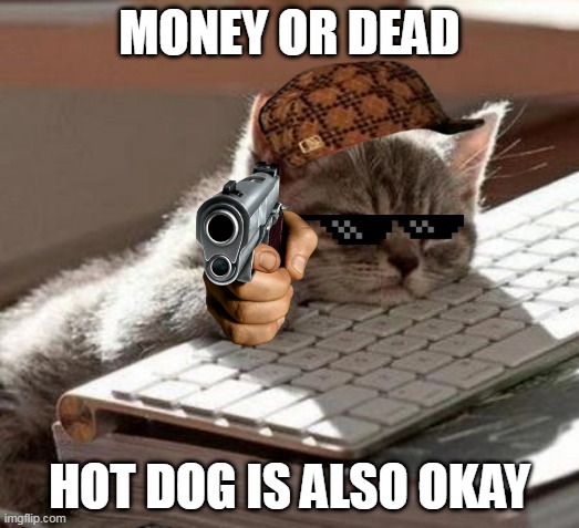 tired cat | MONEY OR DEAD; HOT DOG IS ALSO OKAY | image tagged in tired cat | made w/ Imgflip meme maker