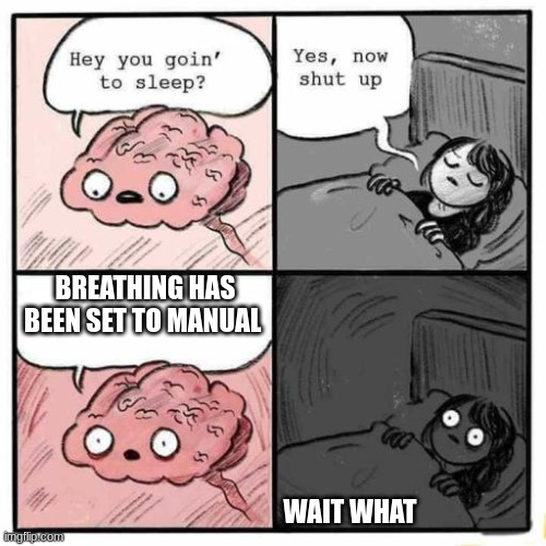 oh no | BREATHING HAS BEEN SET TO MANUAL; WAIT WHAT | image tagged in hey you going to sleep,memes | made w/ Imgflip meme maker
